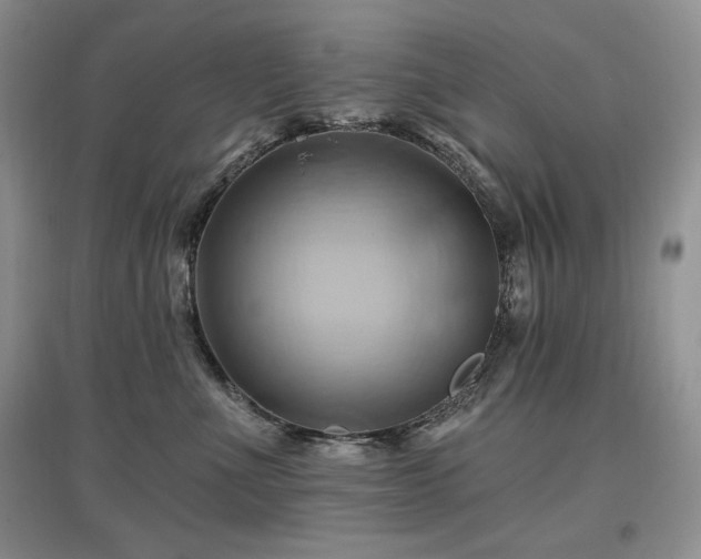 X0000097830523200803141148