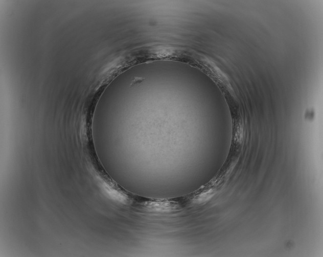 X0000097830524200803141148