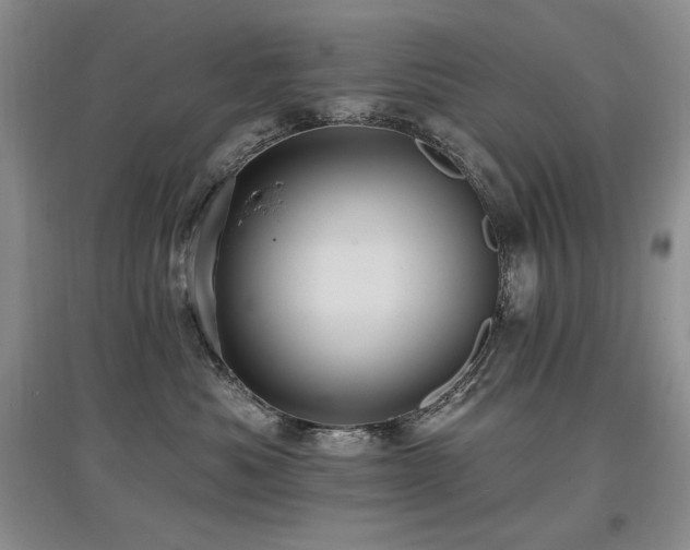 X0000097830525200803141148