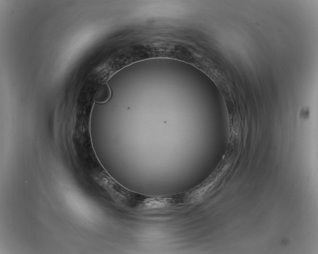 X0000097830526200803141148