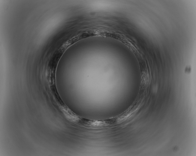 X0000097830527200803141148