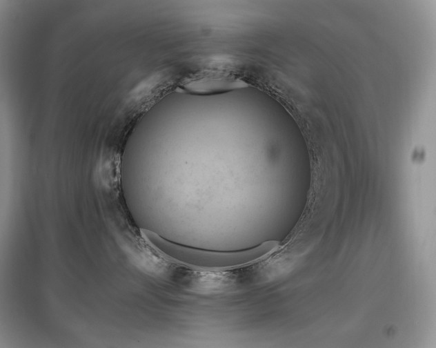 X0000097830528200803141148