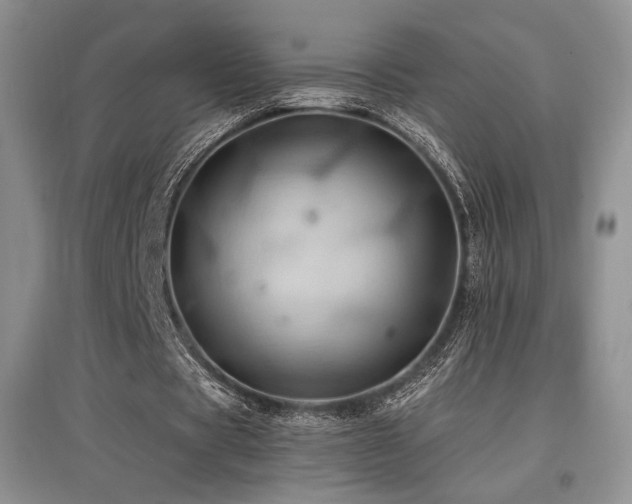 X0000097830529200803141147
