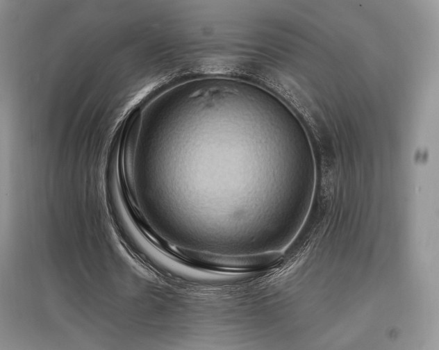 X0000097830530200803141147