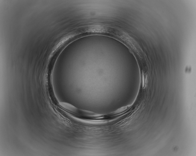 X0000097830531200803141147