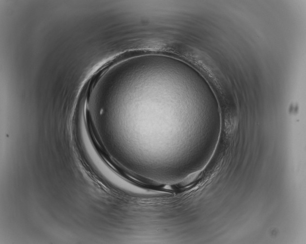 X0000097830532200803141147