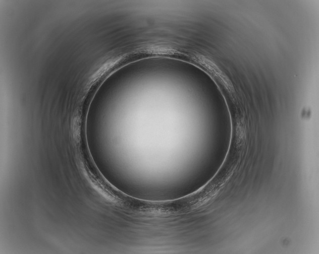 X0000097830533200803141147