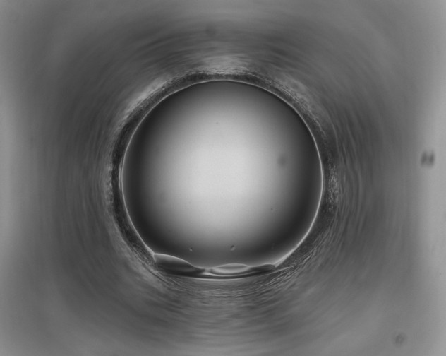 X0000097830535200803141147