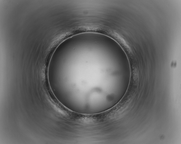 X0000097830537200803141147