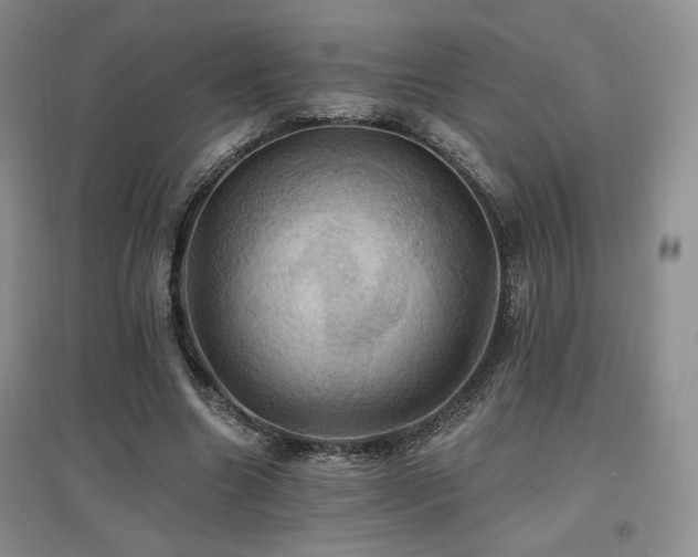 X0000097830538200803141147