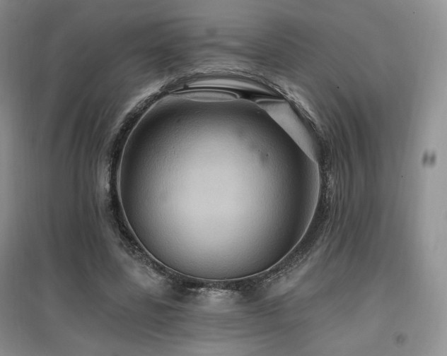 X0000097830539200803141147