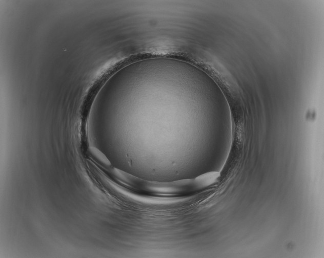 X0000097830540200803141147