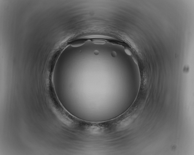 X0000097830542200803141147
