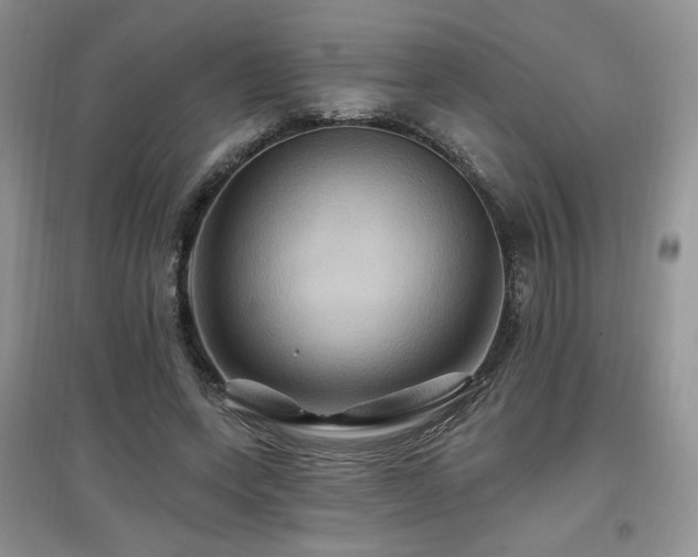 X0000097830543200803141147
