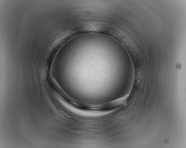 X0000097830544200803141147
