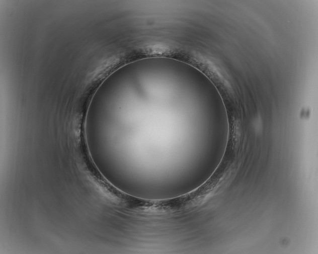 X0000097830545200803141147