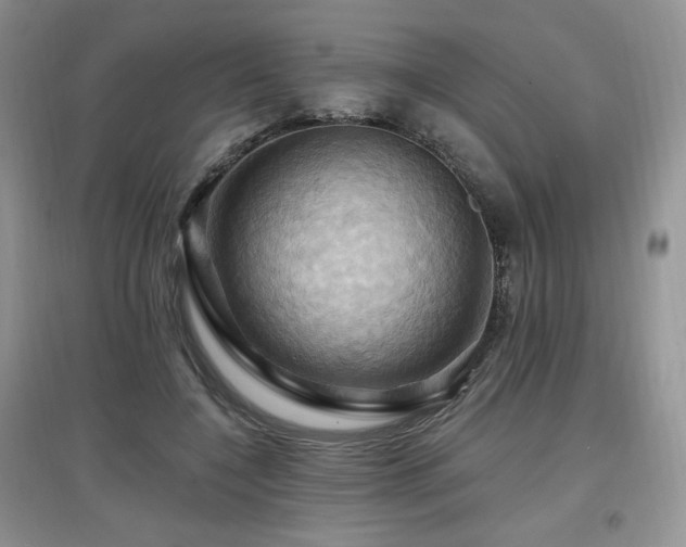 X0000097830548200803141147