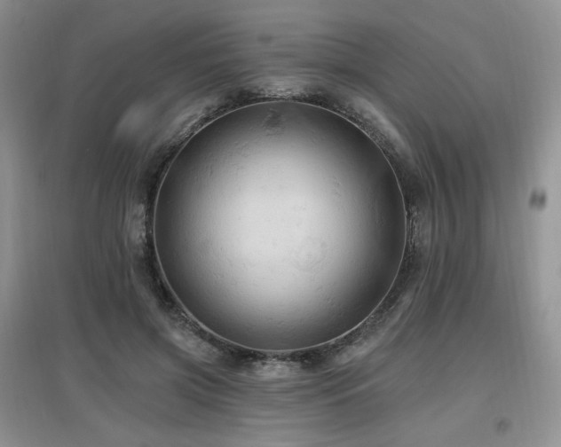 X0000097830549200803141147