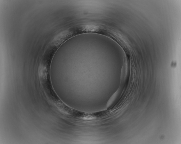 X0000097830551200803141147