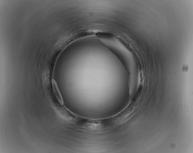 X0000097830552200803141147