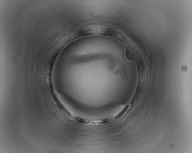 X0000097830553200803141147