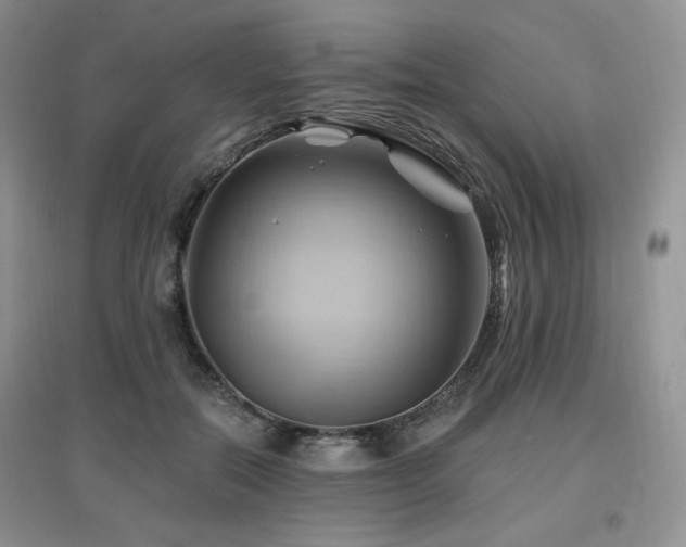 X0000097830554200803141147