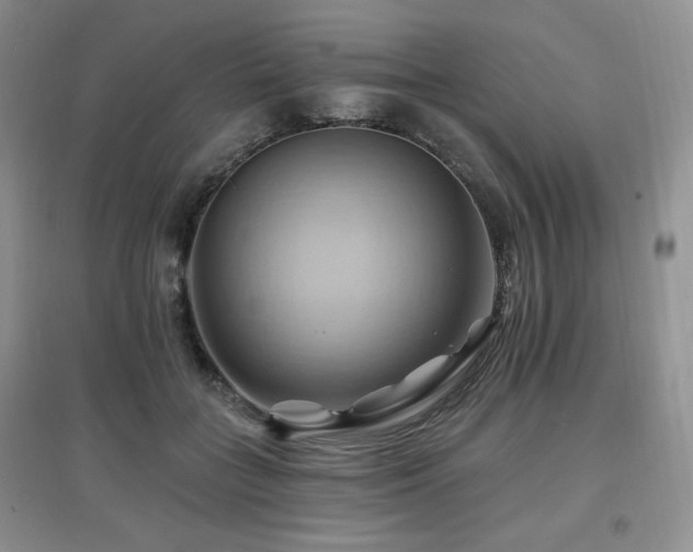X0000097830555200803141147