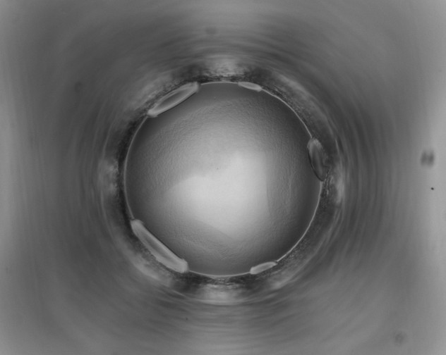 X0000097830556200803141147