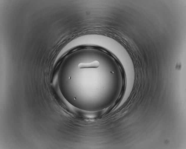 X0000097830558200803141147