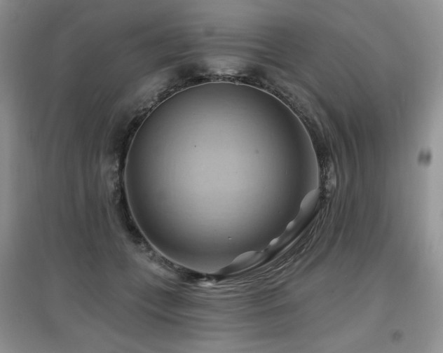 X0000097830559200803141147