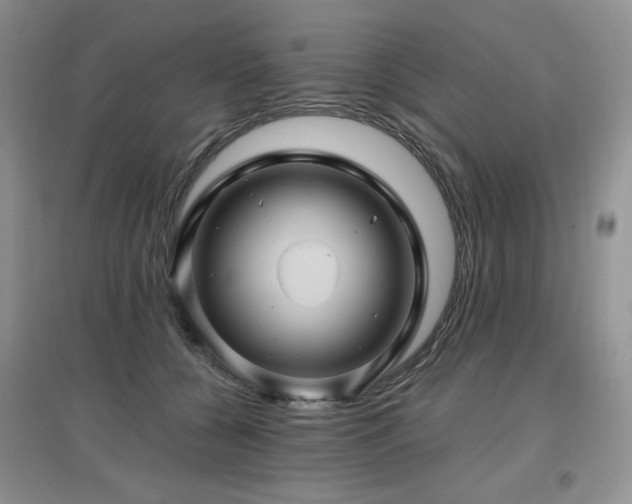 X0000097830560200803141147