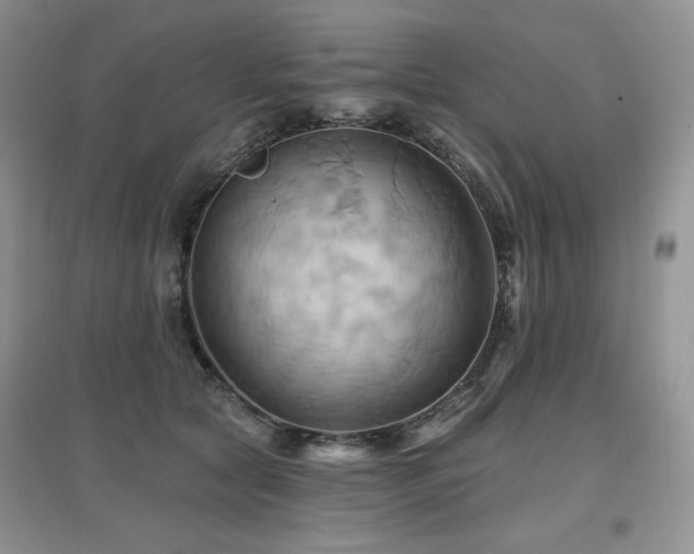 X0000097830561200803141147
