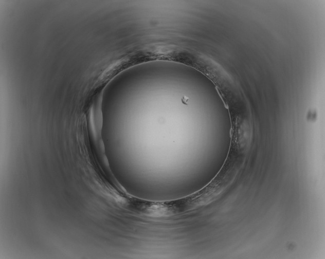 X0000097830562200803141147