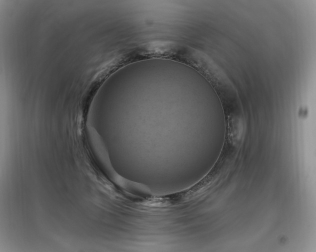 X0000097830563200803141147