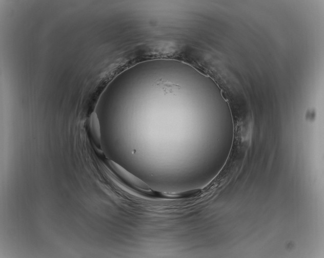 X0000097830564200803141147