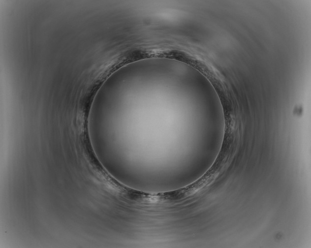 X0000097830565200803141148