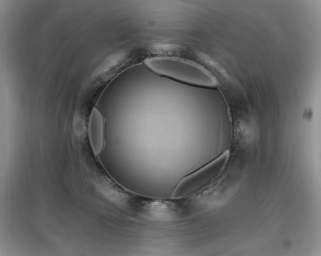 X0000097830566200803141148