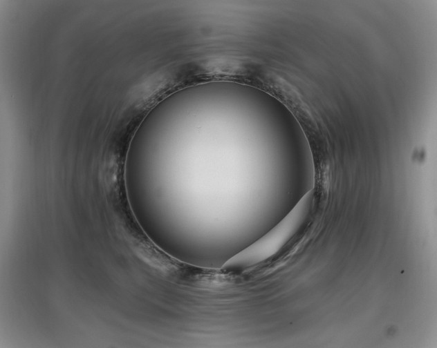 X0000097830567200803141148