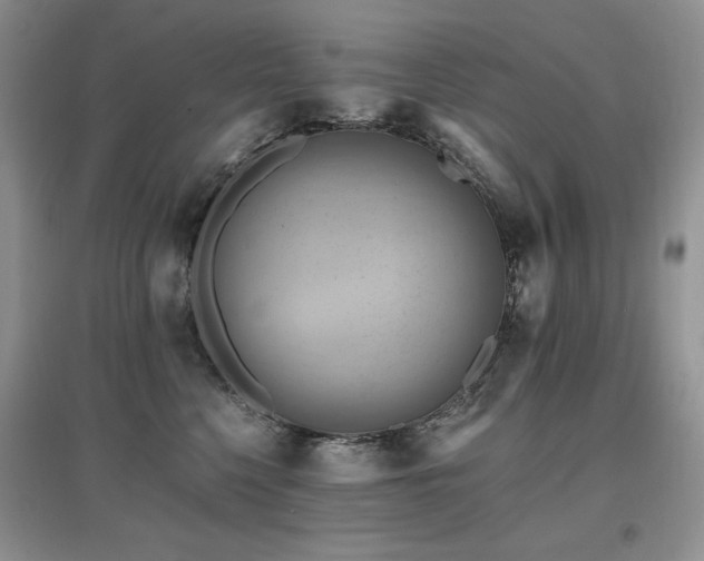 X0000097830568200803141148