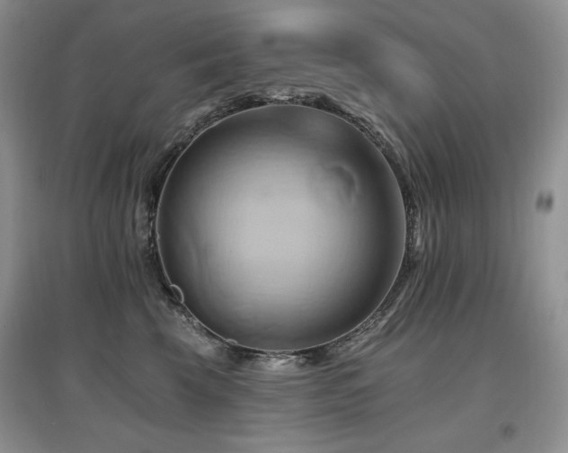 X0000097830569200803141148