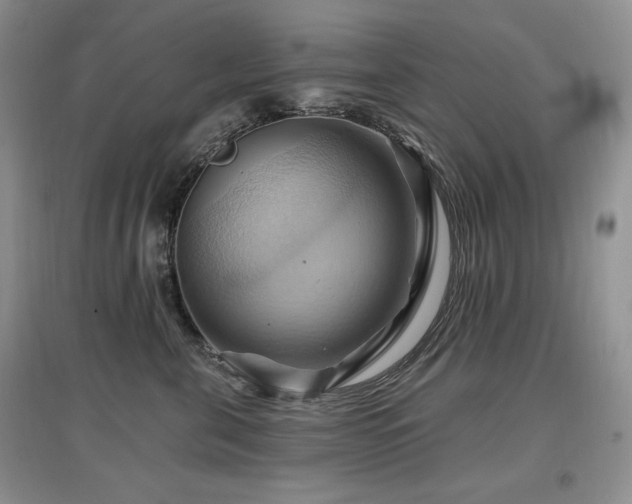 X0000097830571200803141148