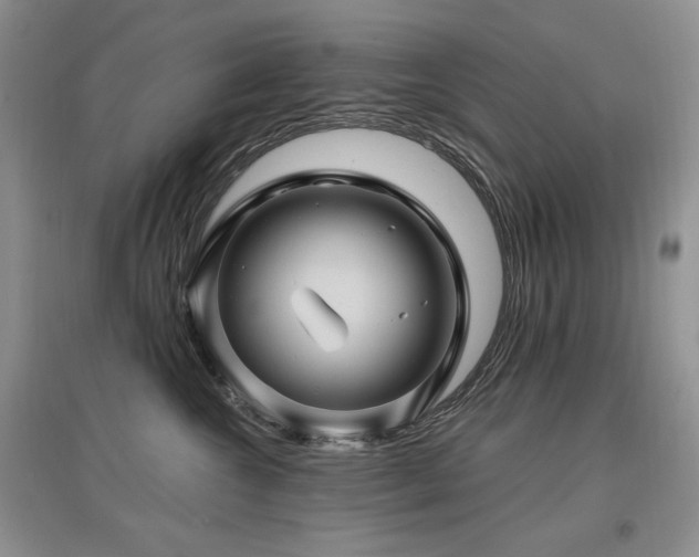 X0000097830572200803141148