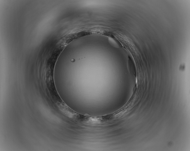 X0000097830573200803141148