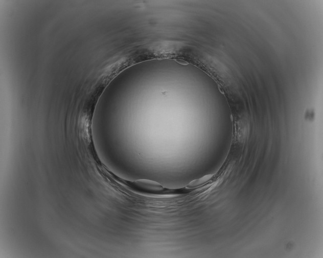 X0000097830575200803141148