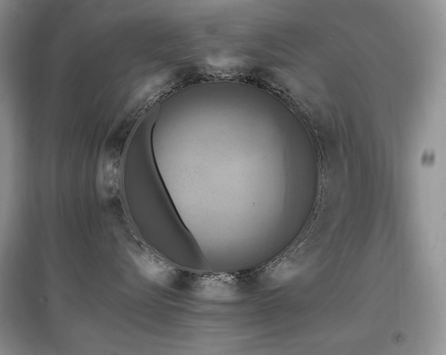 X0000097830576200803141148