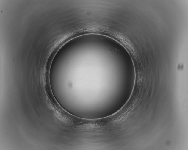 X0000097830578200803141147