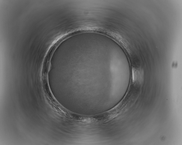 X0000097830579200803141147