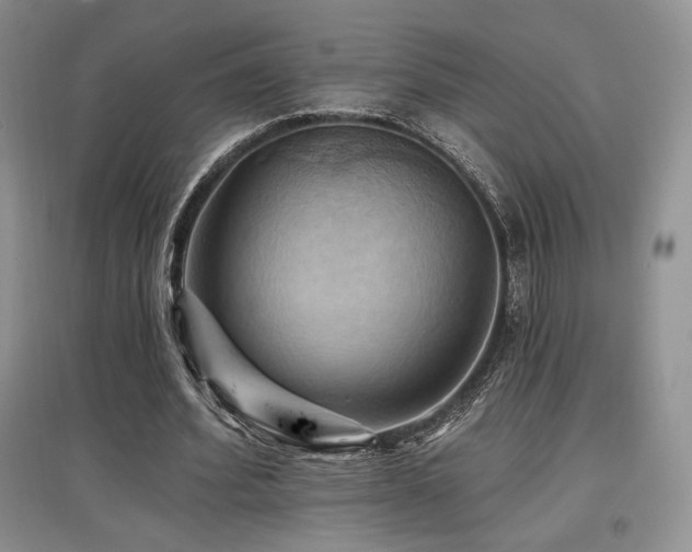 X0000097830580200803141147
