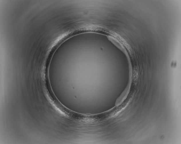 X0000097830581200803141147
