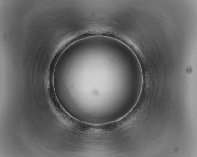 X0000097830582200803141147